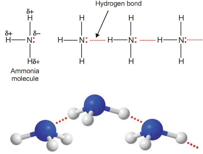 hbond nh3.png